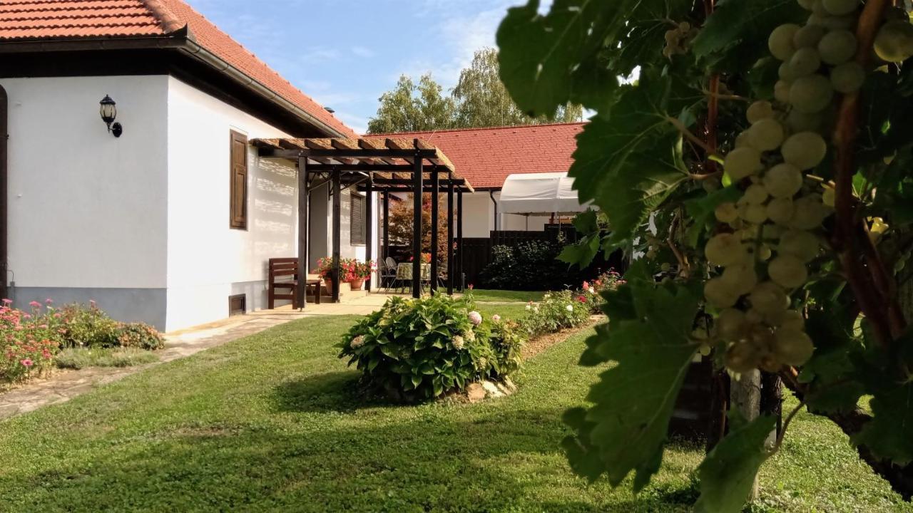 Villa Pocitniska Hisa Kog Esterno foto